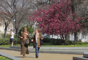 Слънце в неделя