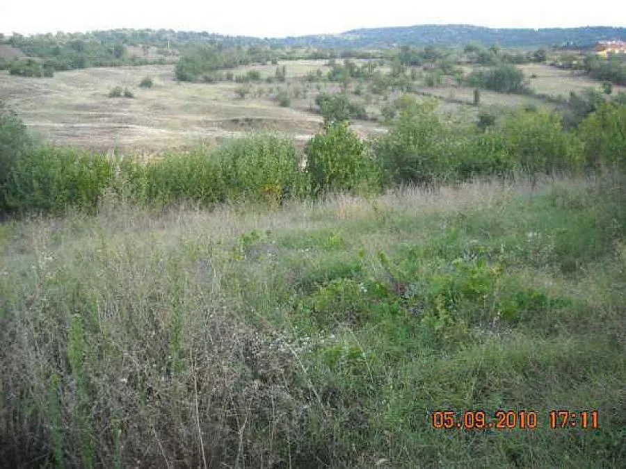 Куче полицай спипа 44 нелегални в горичка