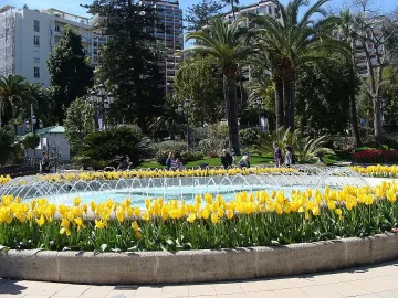 Живот в розово