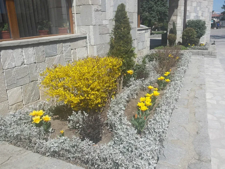 Нови цветя красят Банско