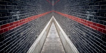 10-те най-големи лъжи, в които живеем