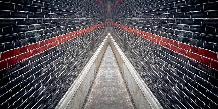 10-те най-големи лъжи, в които живеем