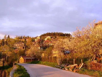 Полицаи разкриха незаконна кланица