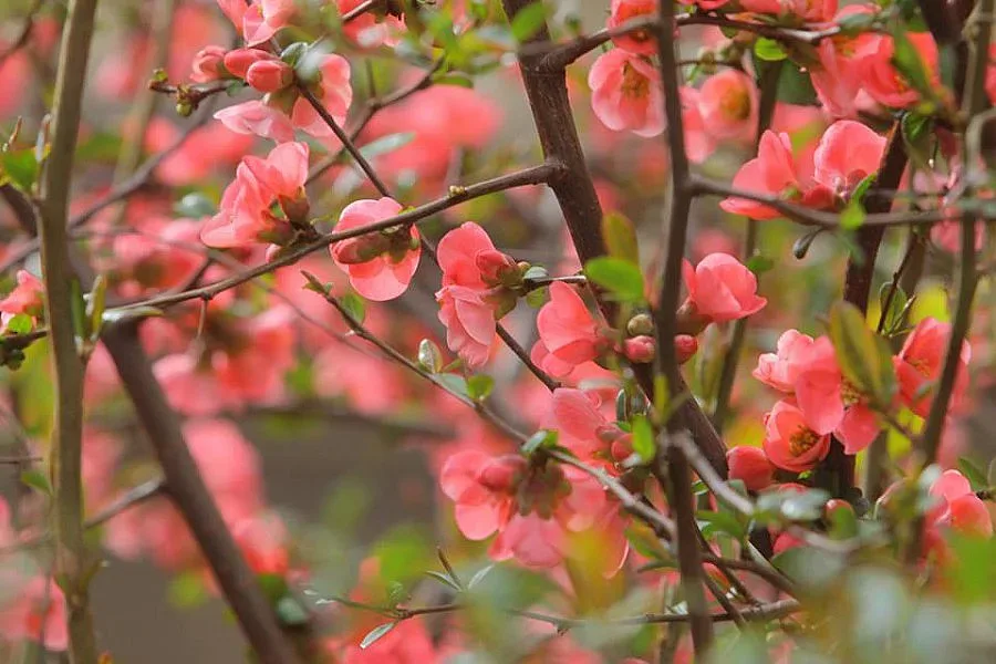 Преборете пролетната умора с позитивизъм