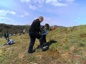 400 души засадиха 6500 фиданки