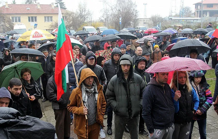 Лозен не си дава гората