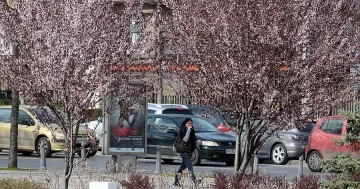 Април идва  с 20 градуса