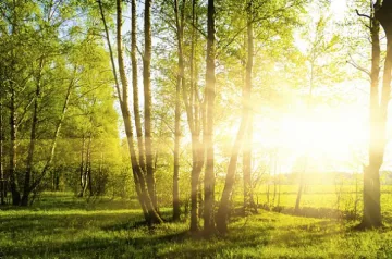 Слънце за начало на седмицата