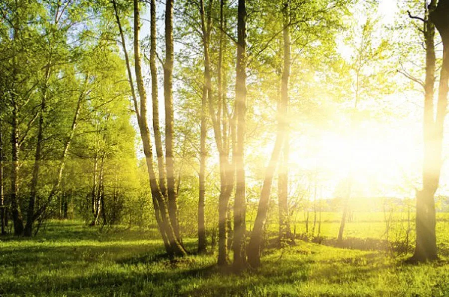 Слънце за начало на седмицата