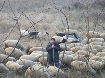 Нощна стража за овцете заради Великден