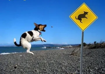 Вицове за сутрешното кафе