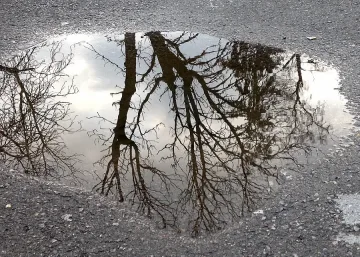 Жълт код в 5 области заради валежи