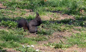 Дъжд в сряда