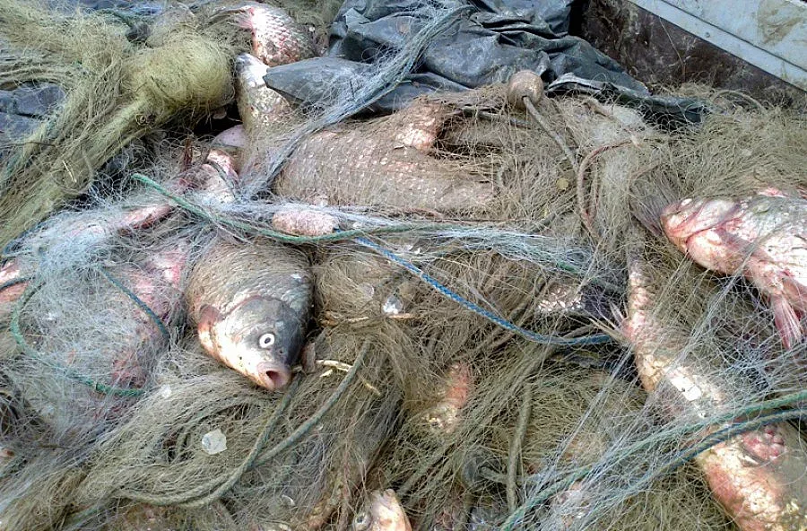 Подаваме на тел. 112 сигнали за бракониери