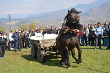 Кобилата Лиза пак първа на кушията в Симитли