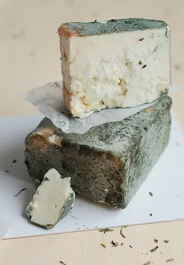 Зеленото сирене от Черни Вит