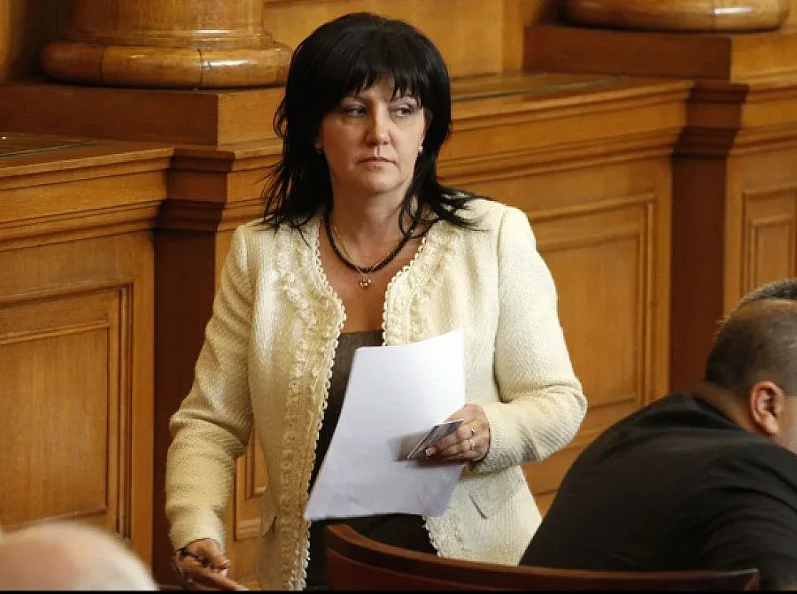 ГЕРБ: Референдум преди изборите за президент