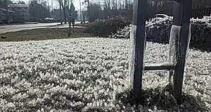 Ледена епоха опакова изчезващ наш град