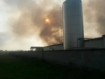 Овладяха пожара край Първомай