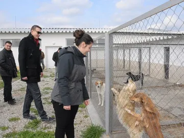 Над 100 видинчани посетиха приюта за кучета