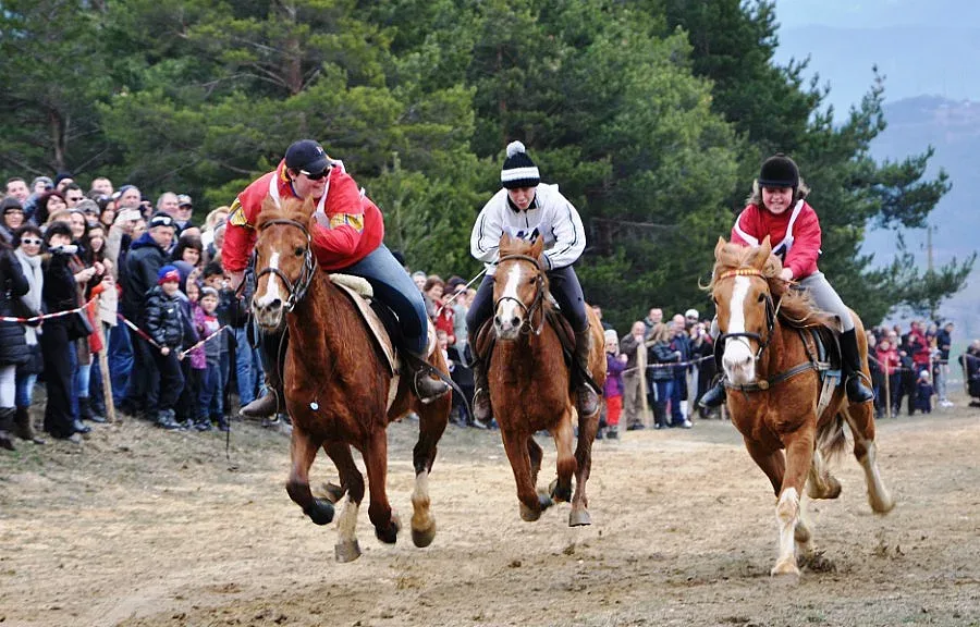 Чужденци гледат кушии в разложко село