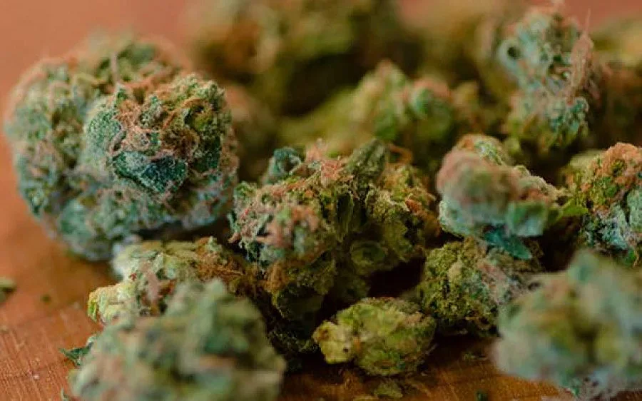 Задържаха  двама албанци с марихуана