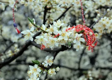Почти без валежи във вторник 