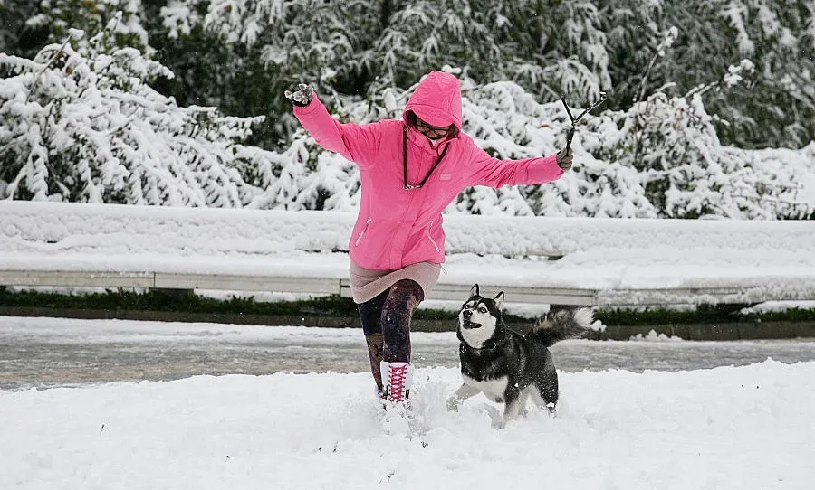 Идва студен фронт с много сняг 