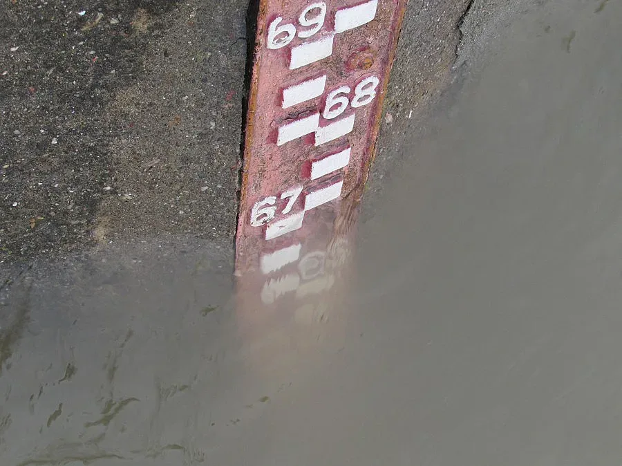 Дунав прелива (ОБЗОР)