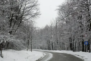 20 сантиметра сняг в Родопите