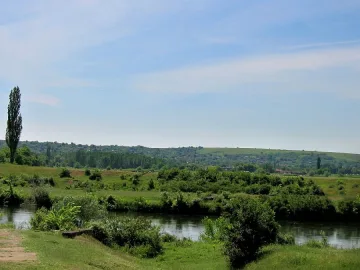 Над 50% са гласували в Софрониево