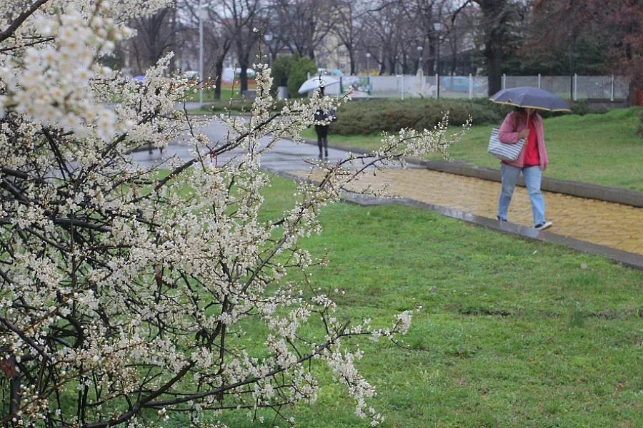 Седмицата почва с дъжд и малко сняг 