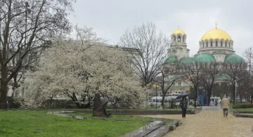 Дъждовна неделя 