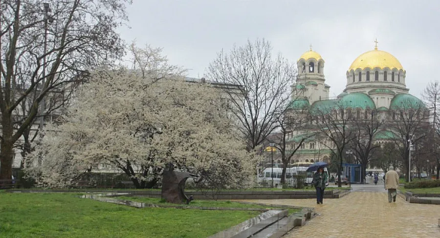 Дъждовна неделя