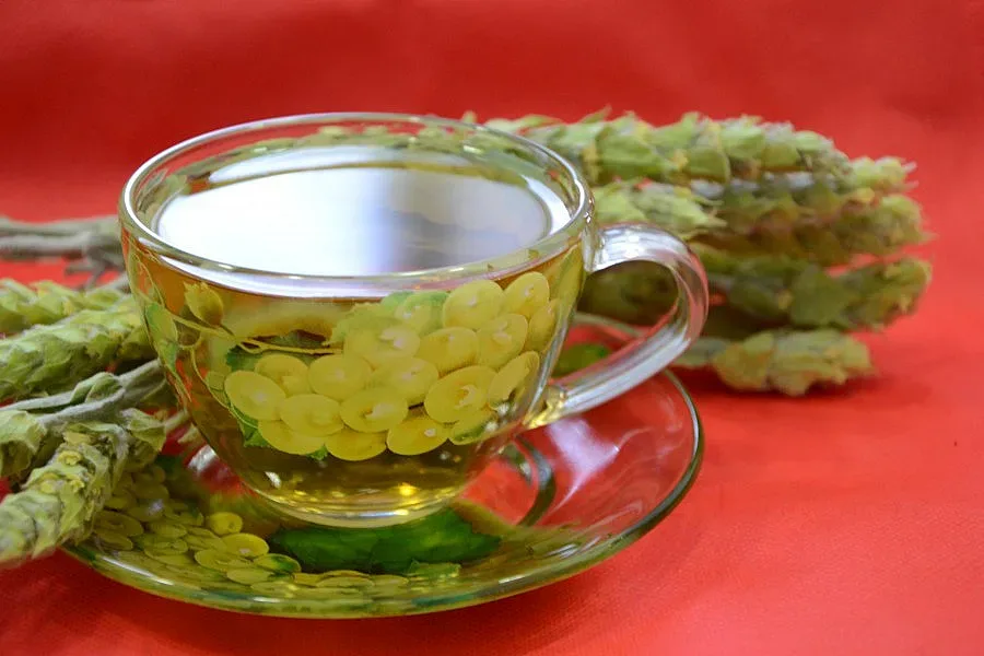 Елизабет II и Путин  пият мурсалски чай