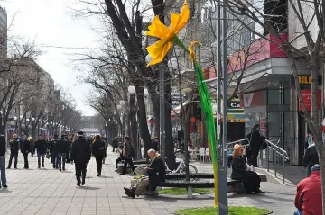 Двуметрови нарциси и кокичета поникнаха в Бургас