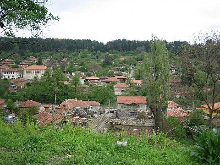 Кмет моли авджии да отстрелят чакали