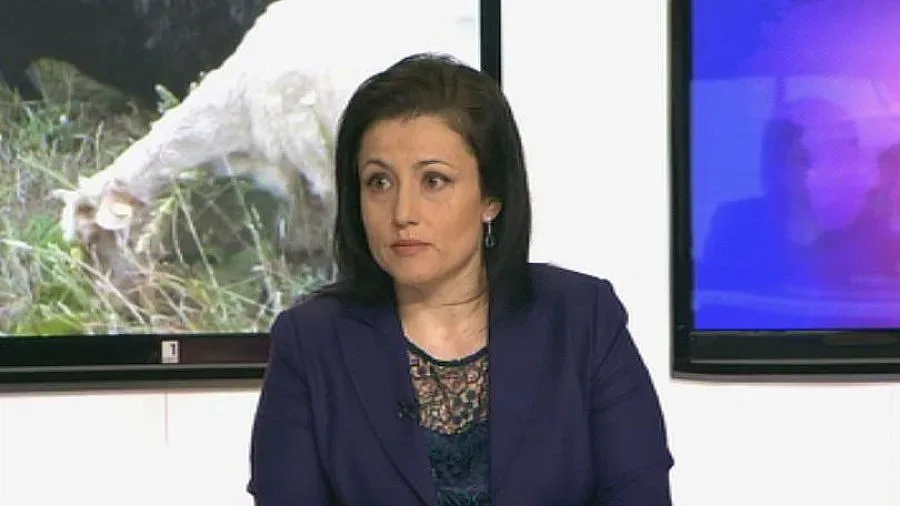 Танева: Има пропуски при мандрите