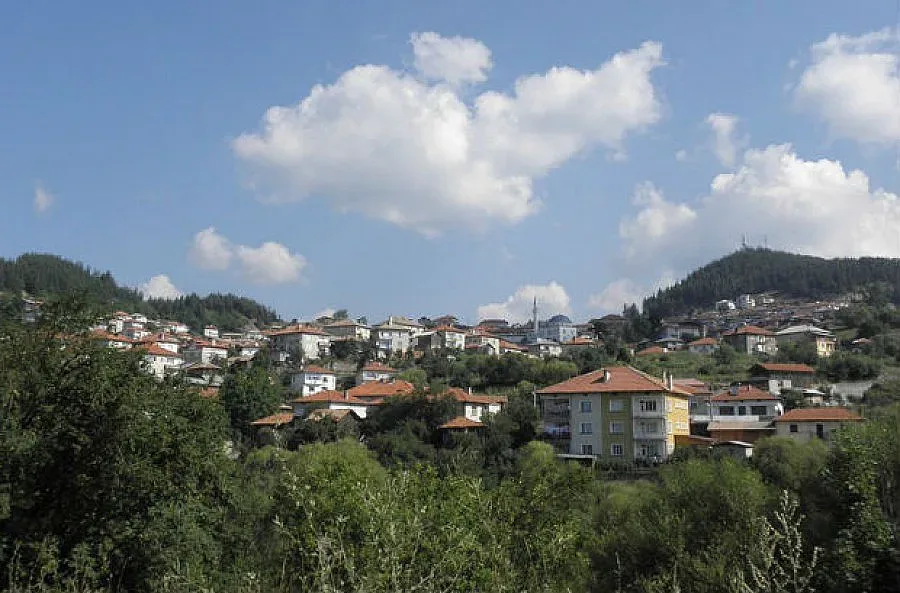 Две свлачища вдигат село на бунт