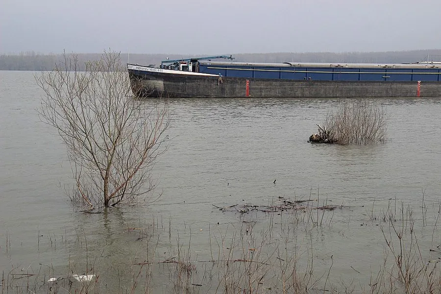 Дунав мина 7 м. при Лом започнаха наблюдение