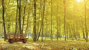 Нов парк в София до месец