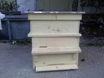 Задигнаха 22 кошера с пчелите