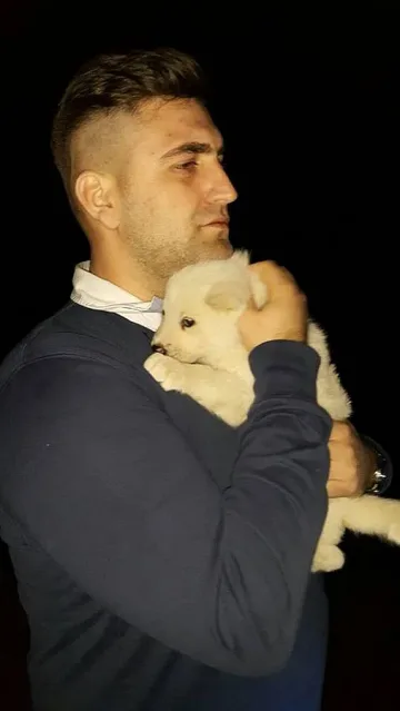 Евродепутат осинови улично кученце