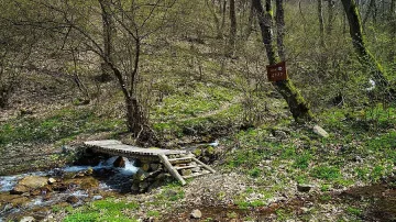 Сириец избра с. Скрът пред Германия