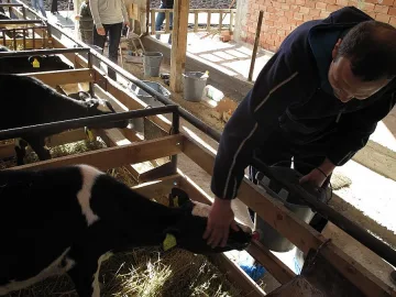 От юли тръгват парите за машини във фермите