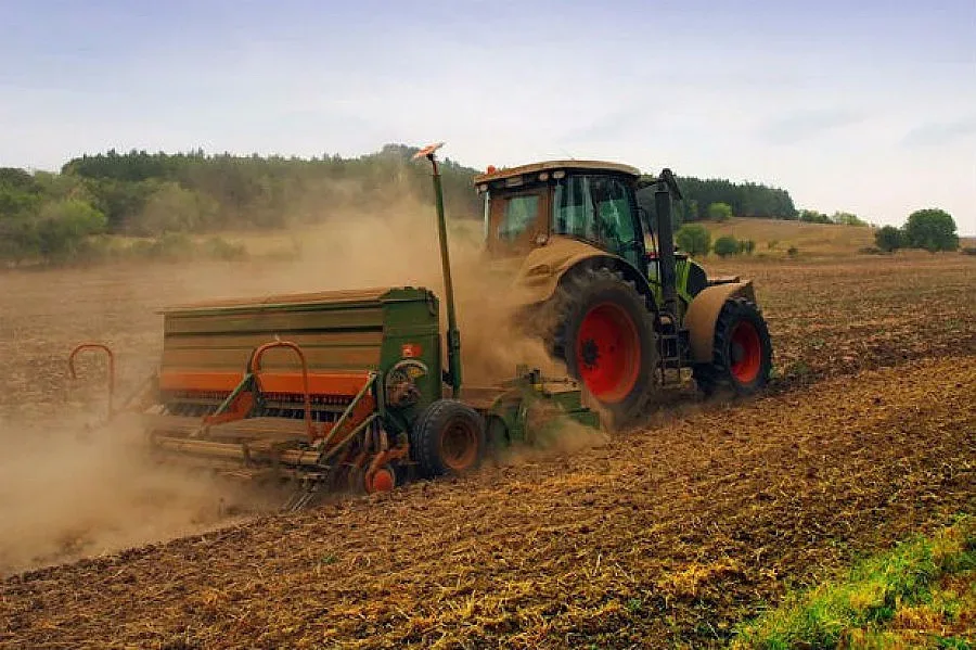 Зърнари се надяват да останат пари и за тях