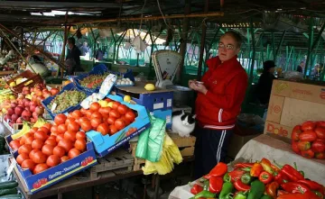 Патентоваха розов домат по половин кило