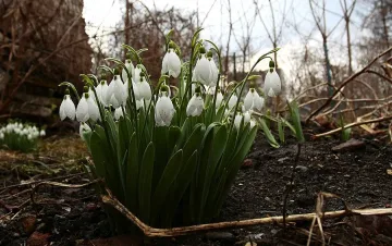 Без дъжд в събота 