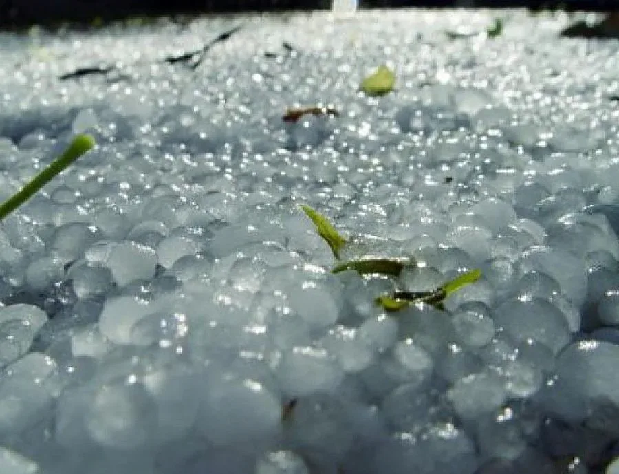 Градушка падна в части на страната (ВИДЕО)