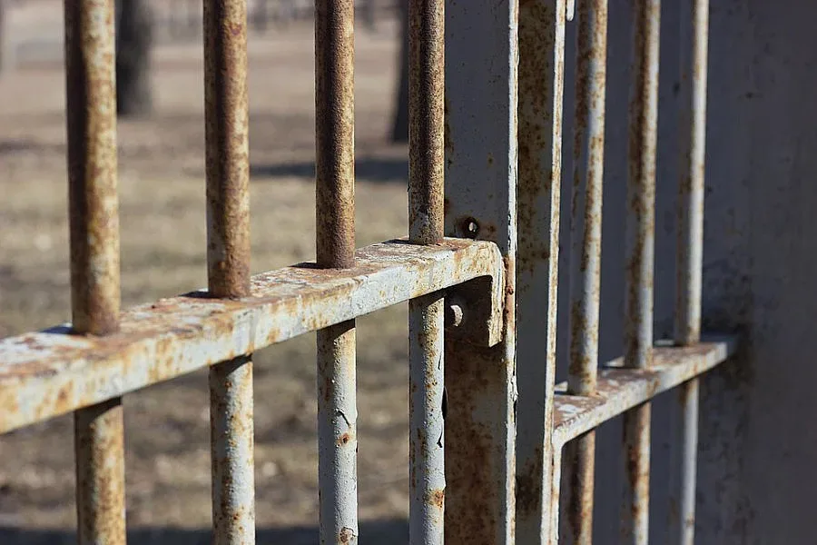 Пожалиха един от осъдените за убийството на Ники